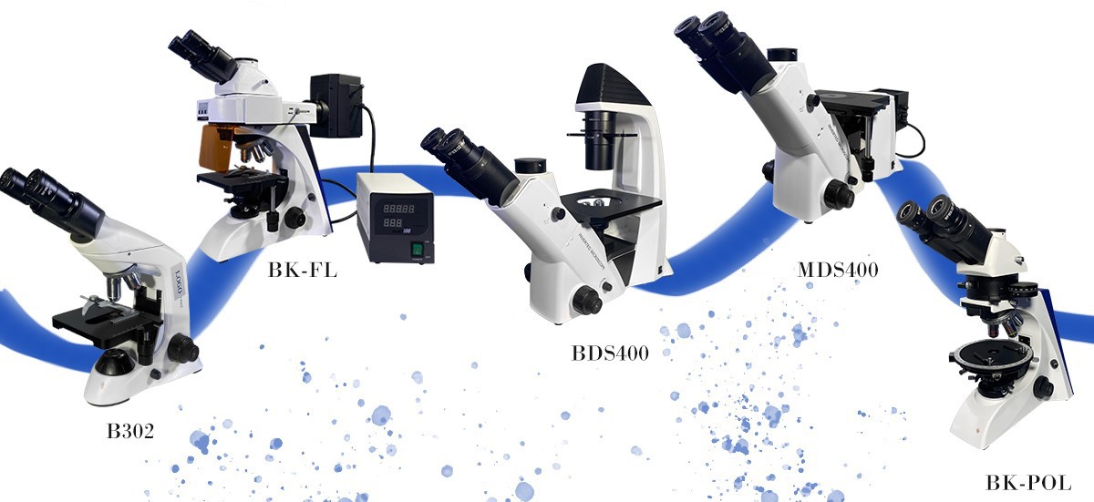 how to maintain and store optics microscope how to maintain and store optics microscope