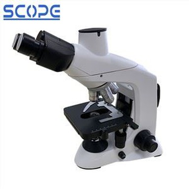 Trinocular líffræðileg smásjá fyrir líffræðileg rannsóknarstofur háskólans
