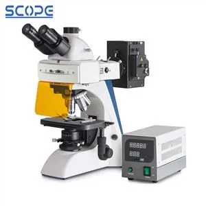 Trinocular Biological Fluorescence Microscope